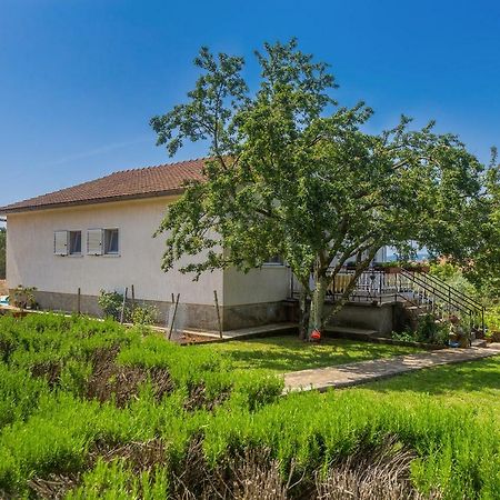 Apartments Marica Skrbčići Zewnętrze zdjęcie
